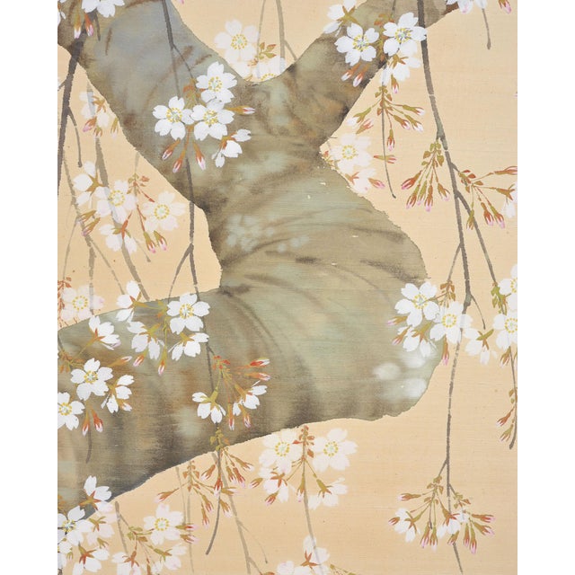 Japanese Showa Four Panel Screen Flowering Cherry Blossom For Sale - Image 13 of 18