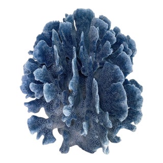 Natural Blue Coral Specimen Coastal Decor For Sale