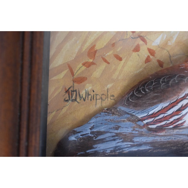 Traditional Abercrombie & Fitch X Joseph Q. Whipple Hand Painted Partridge Shadowbox For Sale - Image 3 of 3
