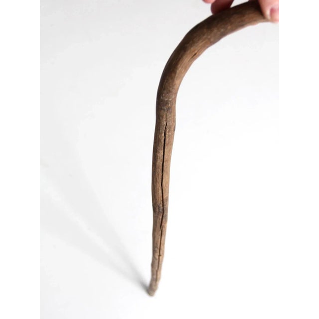 Brown Antique Walking Stick For Sale - Image 8 of 11