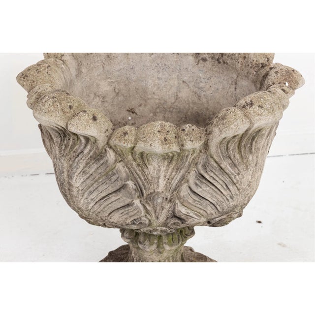 Late 19th Century Acanthus Concrete Leaf Planter For Sale - Image 5 of 10