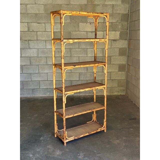 Really nice bamboo, cane, and rattan bookshelf. Nice finish with bamboo frame, rattan wrapped corners, and cane shelves....