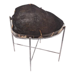 Living Edge Petrified Wood Top W Iron Stand Accent Table or Side Table 45