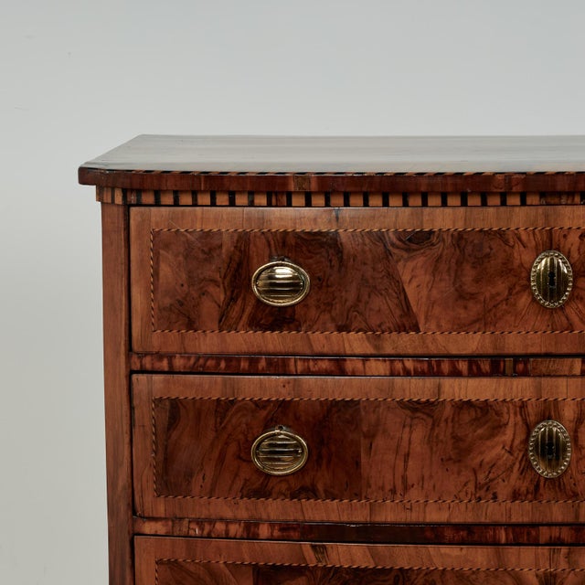 Neoclassical Antique Italian Neo Classic Bow Front Chest or Commode For Sale - Image 3 of 14