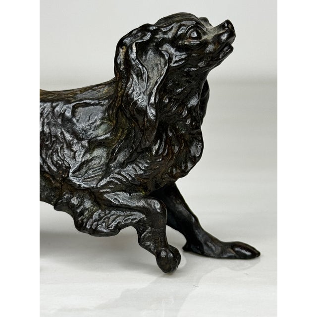Antique Miniature Austrian Bronze Long Haired Dachshund Sculpture Circa 1900 For Sale - Image 6 of 18