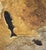 Goldenrod Fossil Fish Triptych 8006abc For Sale - Image 8 of 8