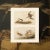 1960s 1966 Vintage Cottage Print, "Wilson's Phalarope and Buff-Breasted Sandpiper" After John James Audubon For Sale - Image 5 of 6