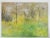 Late 20th Century Sunny Impressionist Forest Glen Painting For Sale - Image 4 of 4