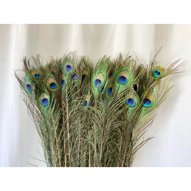 Tall decorative feathers new arrivals