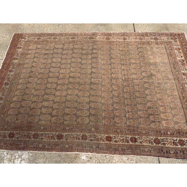Galerie Shabab Collection Early 20th Century Persian Tabriz Hagi Jalili Rug For Sale - Image 4 of 5