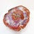 Petrified araucaria wood - 20th Measures : 114x88 H:56cm Tabletop thickness 4cm Coffee table, top made of a slab of...