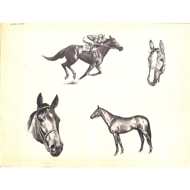 "Thoroughbreds" 1942 Anderson, C. W. For Sale - Image 4 of 8