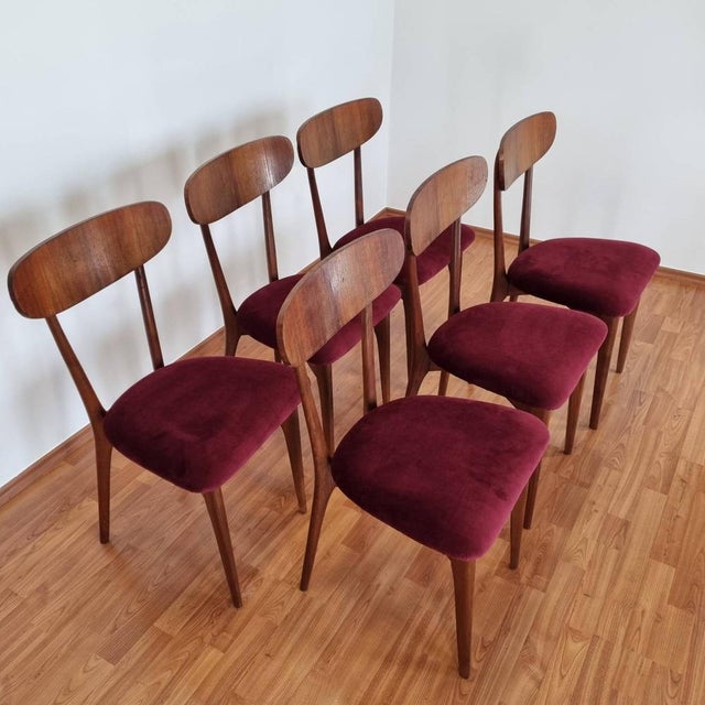 Mid-Century Italian Dining Chairs, 1960s, Set of 6, in Restored conditions. Designed 1960 to 1969 This piece is attributed...