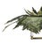 Wood A Vintage Hollywood Regency-Style Bamboo Palm Tree Chandelier. For Sale - Image 7 of 11