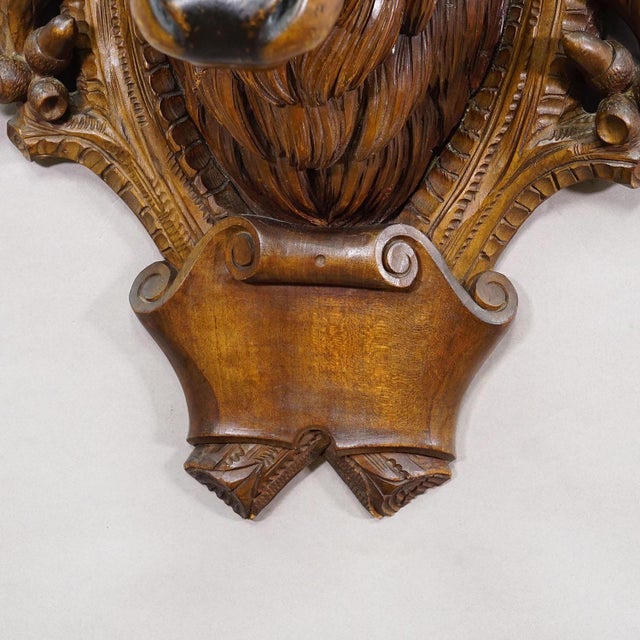 Wood Large Naturalistic Black Forest Carved Stag Head, Ca. 1920s For Sale - Image 7 of 11