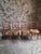 Set of four Fischel bentwood bistro chairs, made in Czechoslovakia and dating from circa 1930–1950. The chairs are made...