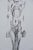 Alberto Giacometti, Nude Woman, Lithograph For Sale - Image 4 of 6