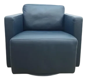 Nelson Swivel Lounge Chair in Leather by Walter Knoll