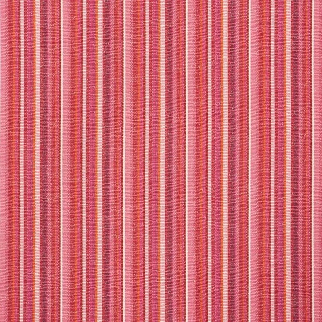 Schumacher Primavera Stripe Fabric in Berry For Sale