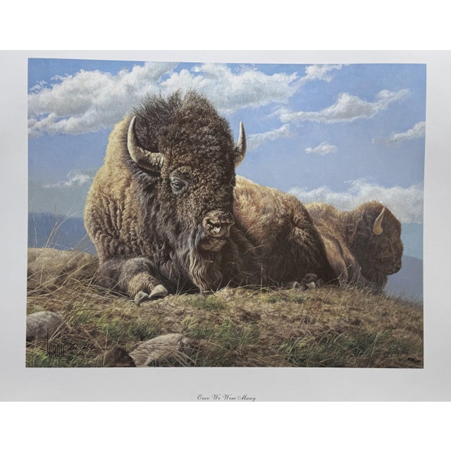 Once We Were Many Lee Cable Limited Edition S/N Wild Buffalo Fine Art Print W/Coa For Sale