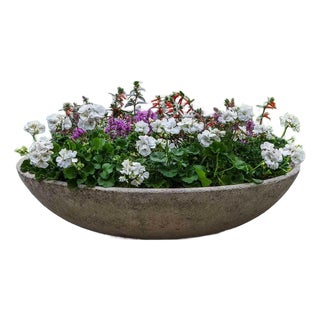 Textured Zen Bowl Gray Concrete Planter For Sale