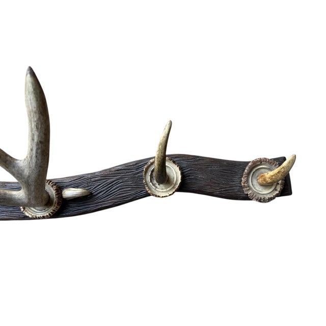 German antler rack with roe deer antlers and antler rosettes