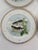 Limoges, France Late 19th Century French Limoges Charles Ahrenfeldt Fish Dinner Plates, Set of Six For Sale - Image 4 of 16