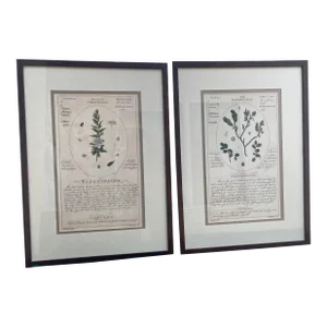 Large Botanicals With Aged Look -A Pair