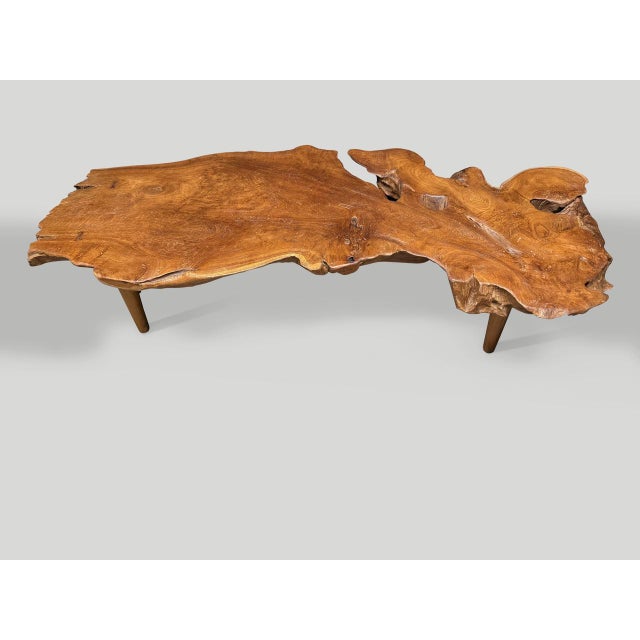 Andrianna Shamaris Sculptural Organic Teak Wood Coffee Table For Sale - Image 16 of 18