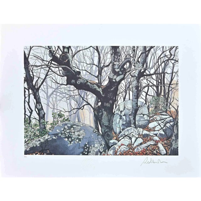 In The Forest is a modern artwork realized by the Artist Rolandi, in the 1970s. Mixed colored screen print. Hand signed on...