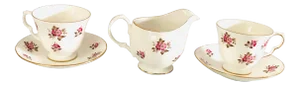 Vintage Queen Anne Bone China Tea Set 5 Pcs