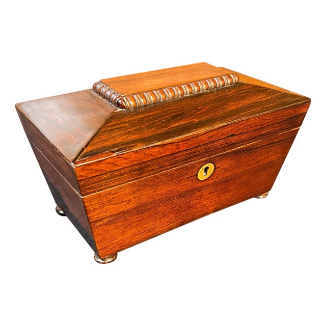 Regency Rosewood Sarcophagus Form Tea Caddy For Sale