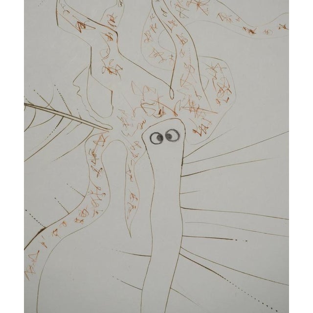 Salvador Dali, Tristan the Madman, 1970, Engraving For Sale - Image 6 of 8