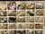 Large antique collection of sea shells in original box.