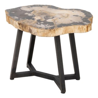 Contemporary Petrified Wood Side Table For Sale