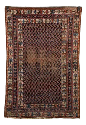 Afshar Rug in Cotton and Wool