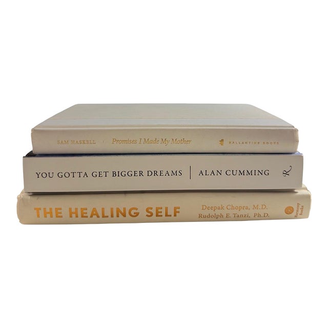 Minimalist White & Ivory Decorative Book Stack Set of 3 Hardcovers For Sale