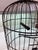 Antique Distressed Iron Dome Birdcage Decor For Sale In Miami - Image 6 of 14