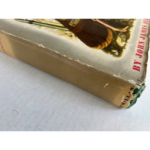 The Birds of America by John James Audubon, 1961, 3rd Print For Sale - Image 4 of 12