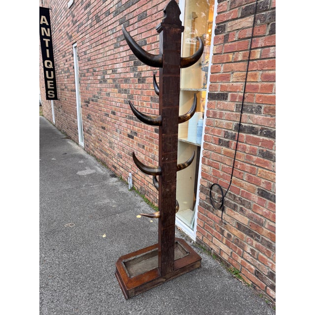 19th Century Bull Horn Hall Tree For Sale - Image 12 of 12