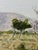 Realism Southwestern Landscape Chisum Trail New Mexico Signed Oil Painting Dated 2002 Signed For Sale - Image 11 of 18