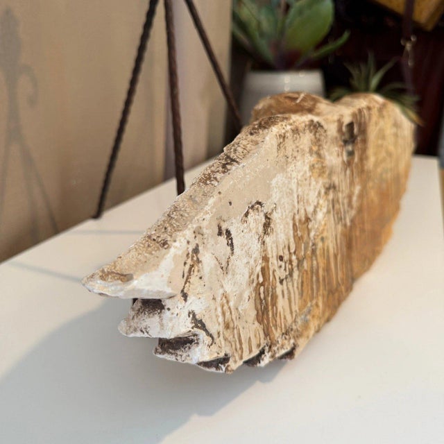 Vintage-inspired cherub angel head with expansive outspread wings serves as a striking piece of architectural wall decor....