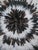 Juju Hat Natural and White of 39" - 100 Cm For Sale In Washington DC - Image 6 of 6