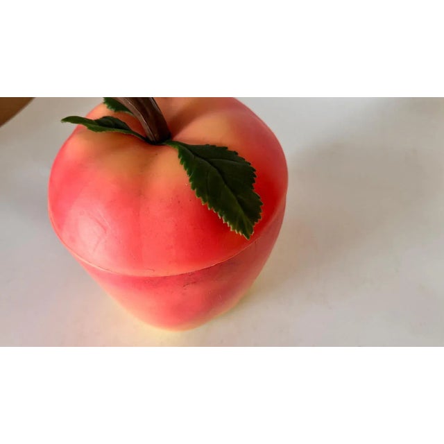 Vintage French Ice Bucket in Plastic Fruit Shape, 1970 For Sale - Image 6 of 11