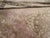 Galerie Shabab Collection Mid-20th Century Turkish Anatolian Room Size Carpet For Sale - Image 10 of 10