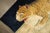 Brown Rare Antique Zabihi Collection Tiger Large Rug - 4' x 6' For Sale - Image 8 of 12