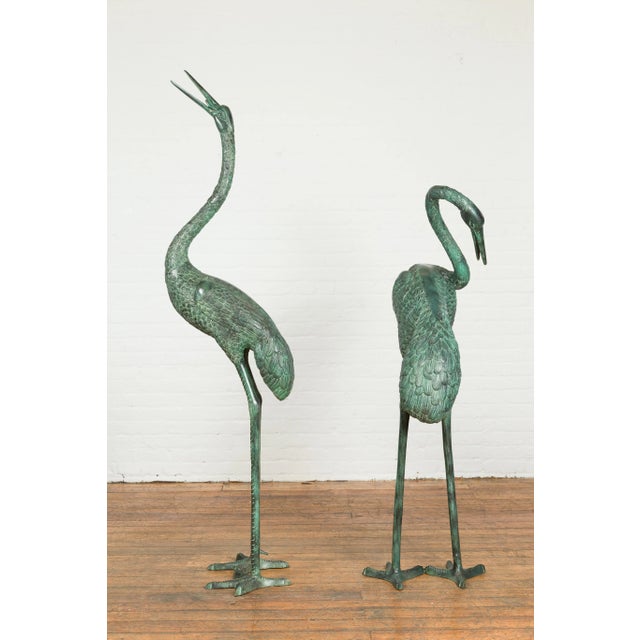 Contemporary Verdigris Bronze Crane Sculptures Tubed as Fountains - A Pair For Sale - Image 10 of 12