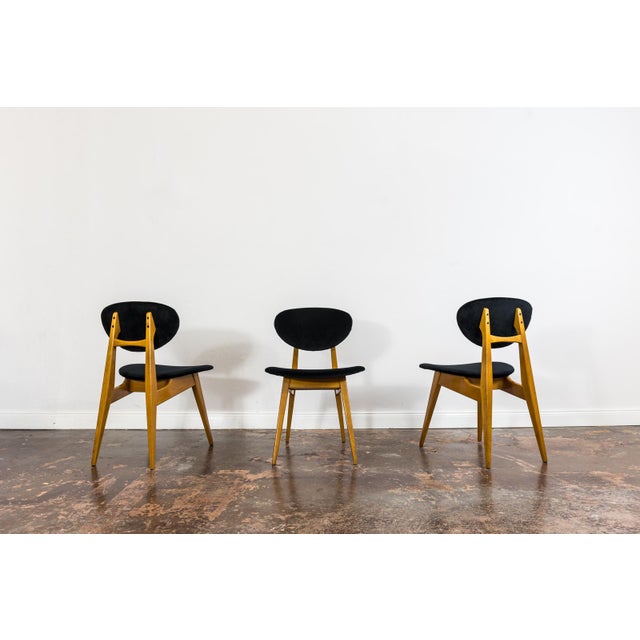 Vintage GFM 22 Chairs by J. Kędziorek, Poland, 1960s, Set of 3 For Sale - Image 6 of 14