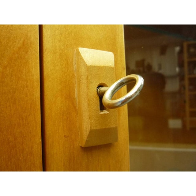 Anthroposophical Cabinet by Felix Kayser for Schiller Möbel, 1930s For Sale - Image 15 of 16