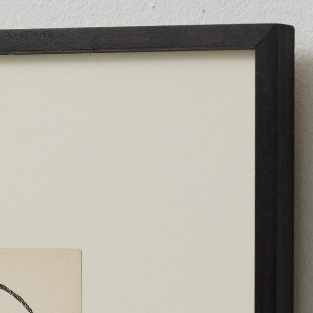 Françoise Gilot, Portrait of a Woman, 1951, Lithograph, Framed For Sale - Image 17 of 18